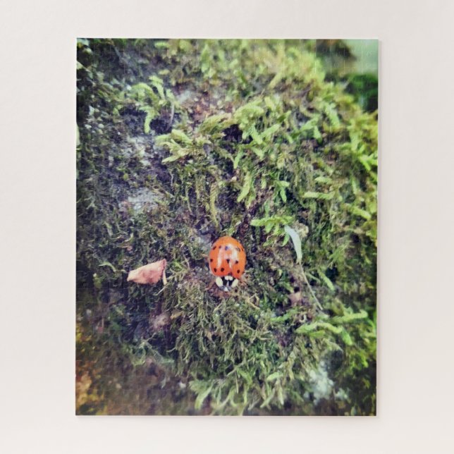 Quebra-cabeça Fotografia de joaninha no musgo (Vertical)