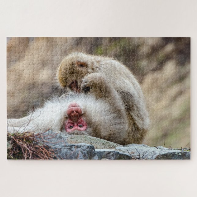 Quebra-cabeça Fotografia de Macaco Japonês, Macaco Macaco (Horizontal)