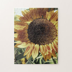 Quebra-cabeça Fotografia de Mamuth Sunflower