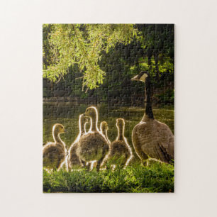 Quebra-cabeça Fotografia de Patos Animais de Mãe e Bebê