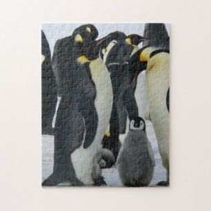 Quebra-cabeça Fotografia de Pinguins de Animais de Criança e M