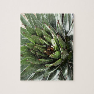 Quebra-cabeça Fotografia de planta com sucesso