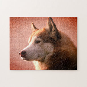 Quebra-cabeça Fotografia do Cão Malamute no Alasca Vermelho