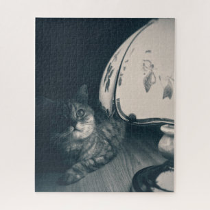 Quebra-cabeça Fotografia do estilo do gato e da lâmpada