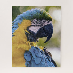 Quebra-cabeça Fotografia do Retrato do Perfil do Macaw