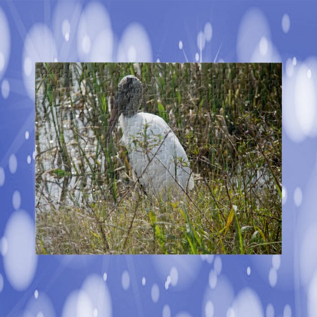 Quebra-cabeça Fotografia do Woodstorn Bird Florida (A puzzle featuring a photograph of a wood stork in wetlands.)