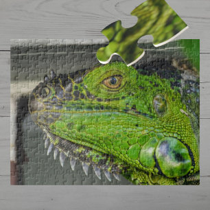 Quebra-cabeça Fotografia em Close-up de Iguana Verde