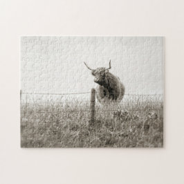 Quebra-cabeça Fotografia escocesa da vaca