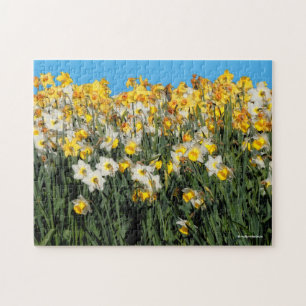 Quebra-cabeça Fotografia Floral de Daffodils De Dois Tons Incrív