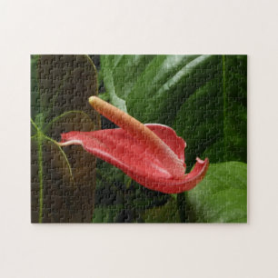 Quebra-cabeça Fotografia Floral Rosa Calla Lily Elegante