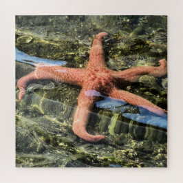 Quebra-cabeça Fotografia original de Starfish sob água
