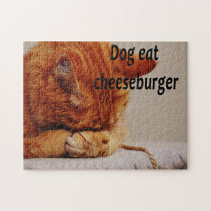 Quebra-cabeça Fotos cómicos de Memes do gato animal engraçado