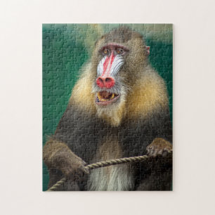 Quebra-cabeça Fotos da Melhor Vida Selvagem de Macacos Fotos