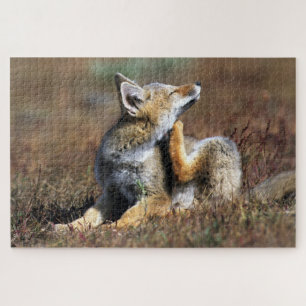 Quebra-cabeça Fox Cinza no Parque Nacional Torres Del Paine