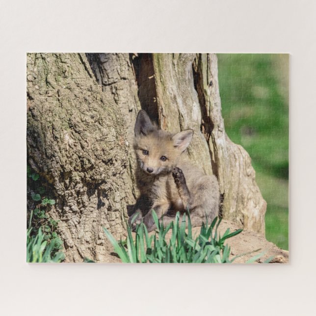 Quebra-cabeça Fox Kit no Vale do Hudson (Horizontal)