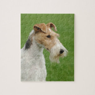 Quebra-cabeça Fox Terrier