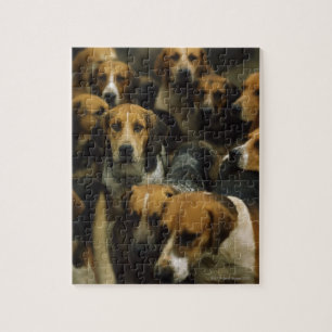 Quebra-cabeça Foxhounds da caça, blazeres de Galway, Ireland