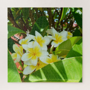 Quebra-cabeça Frangipanis Amarelos Crescendo Em Uma Árvore,