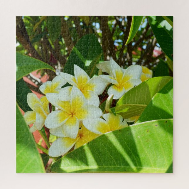 Quebra-cabeça Frangipanis Amarelos Crescendo Em Uma Árvore, (Vertical)