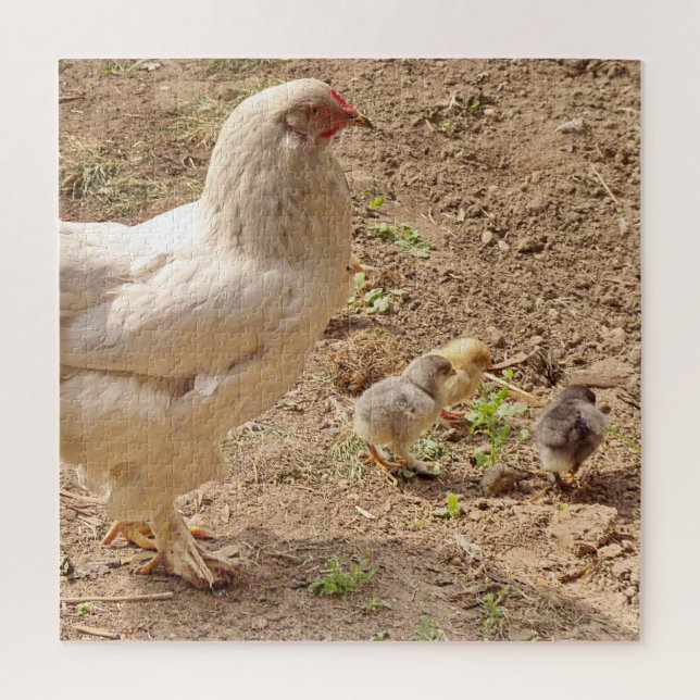 Quebra-cabeça frango, animal, pintinho, ave, fazenda, fofo, queb (Vertical)
