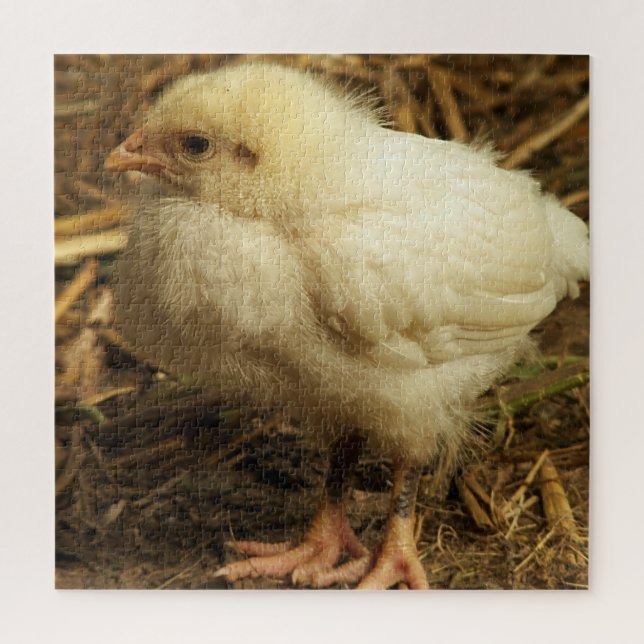 Quebra-cabeça frango, animal, pintinho, ave, fazenda, fofo, queb (Vertical)