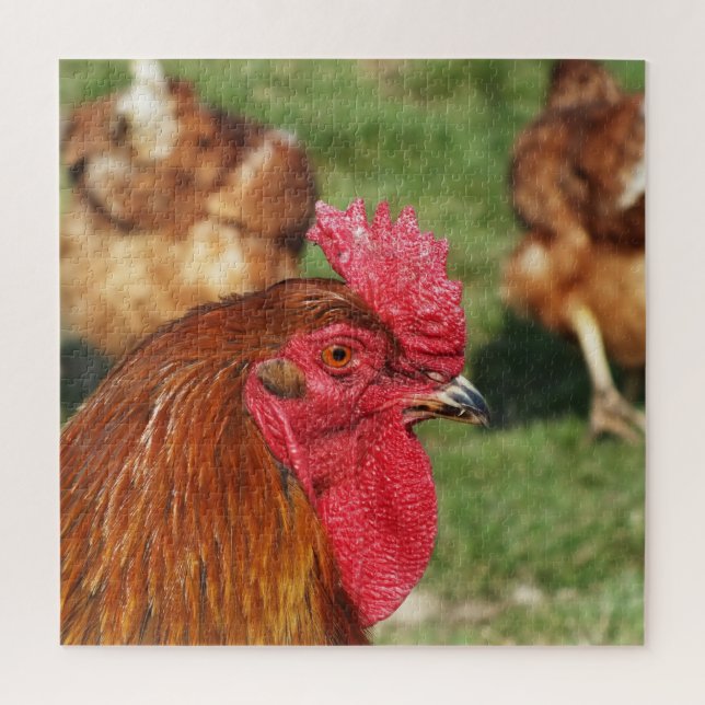 Quebra-cabeça frango, animal, pintinho, ave, fazenda, fofo, queb (Vertical)