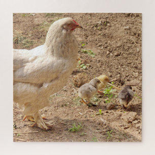 Quebra-cabeça frango, animal, pintinho, pássaro, fazenda, bonit