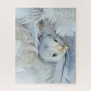 Quebra-cabeça frango, animal, pintinho, pássaro, fazenda, máscar