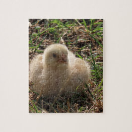 Quebra-cabeça frango pequeno animal de granja
