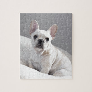 Quebra-cabeça Frenchie de creme