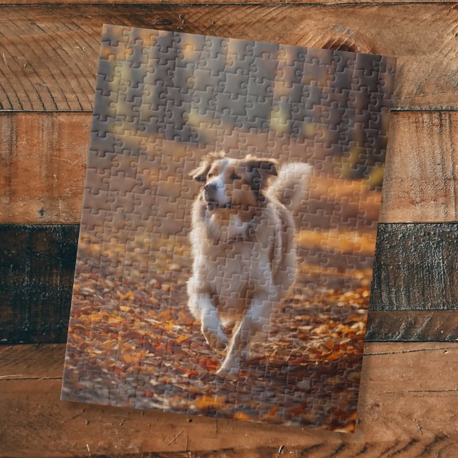 Quebra-cabeça Fronteira Collie na floresta (Criador carregado)