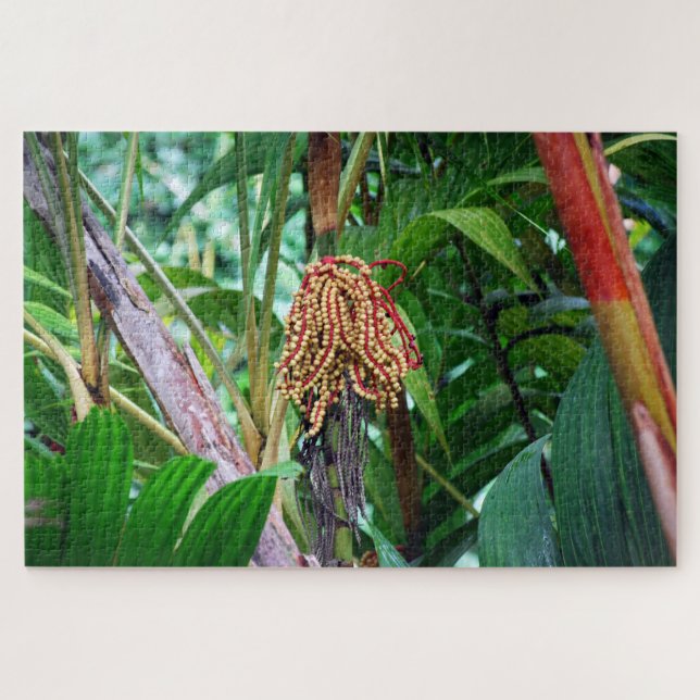 Quebra-cabeça Fruto de Palmeira no Havaí (Horizontal)