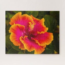 Quebra-cabeça Fuchsia havaiana e Orange Hibiscus de Kauai