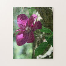 fundo, flor, flor, natureza, verão,