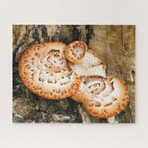 QUEBRA-CABEÇA FUNGI