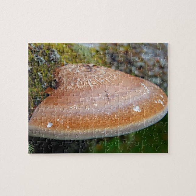 Quebra-cabeça Fungo da braçadeira (Horizontal)