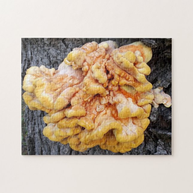 Quebra-cabeça Fungo Laranja (Horizontal)