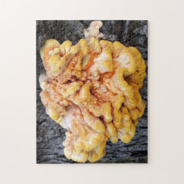 Quebra-cabeça Fungo Laranja