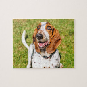 Quebra-cabeça Funky Dog Basset Hound 