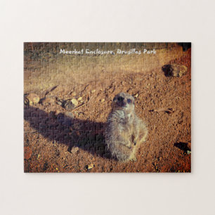 Quebra-cabeça Gabinete Meerkat, Parque Drusillas