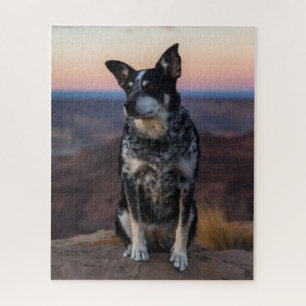 Quebra-cabeça Gado de Cachorro Australiano - Sunset -