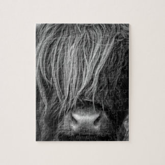 Quebra-cabeça Gado escocês das montanhas - Scotland