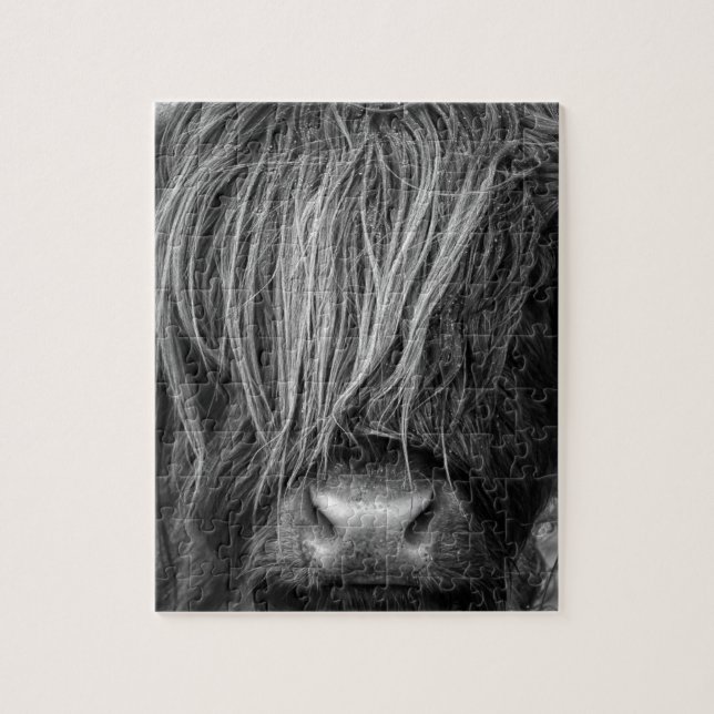 Quebra-cabeça Gado escocês das montanhas - Scotland (Vertical)