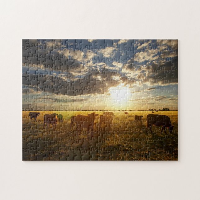 Quebra-cabeça Gado no campo, por do sol (Horizontal)