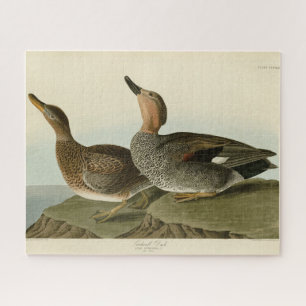 Quebra-cabeça Gadwall Duck - John Audubon's Birds of America