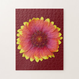 Quebra-cabeça Gaillardia 1