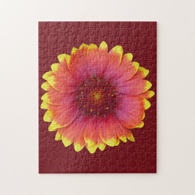 Quebra-cabeça Gaillardia 1 (Vertical)