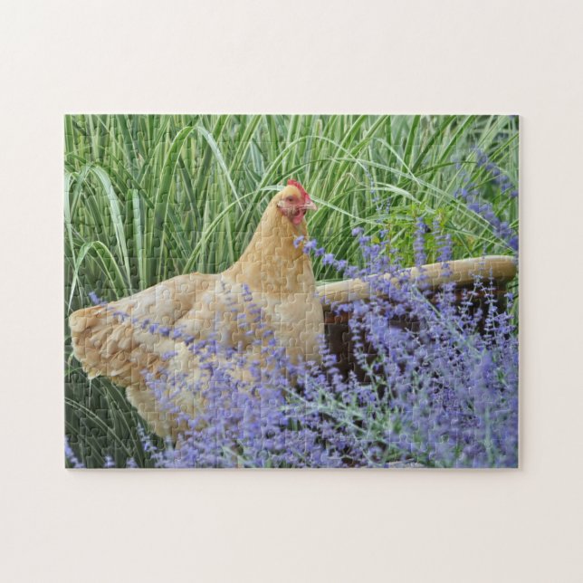 Quebra-cabeça Galinha Com Sábio Russo (Horizontal)