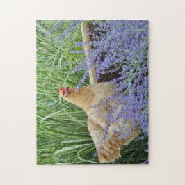 Quebra-cabeça Galinha Com Sábio Russo