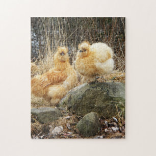 Quebra-cabeça Galinhas amarelas do silkie